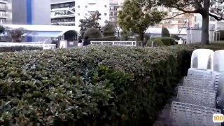 精品欧美在线成人网,国产精品免费大片一区二区高清